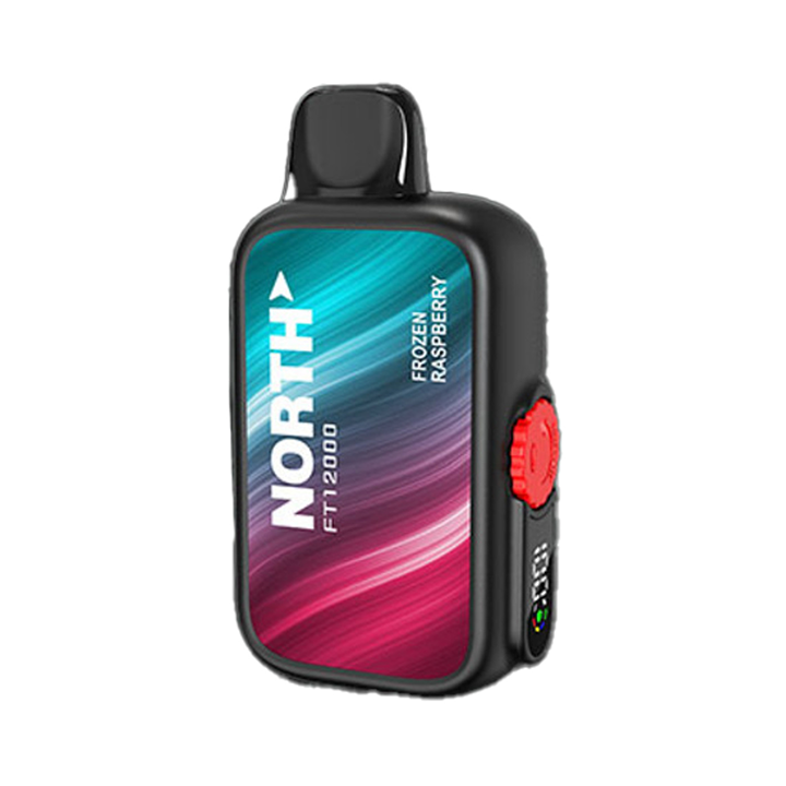 North FT12000 Frozen Raspberry